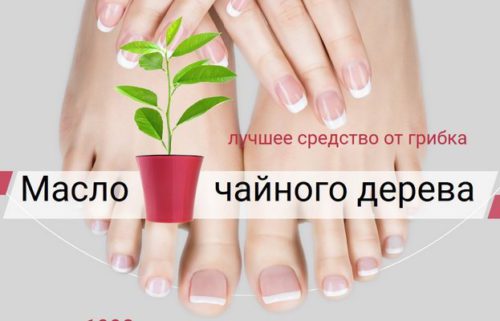 Лікування грибка нігтів олією чайного дерева » журнал здоров'я iHealth 
