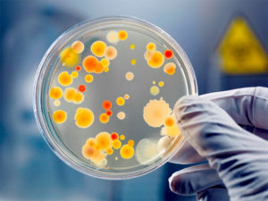 Возможные заболевания при запахе пота