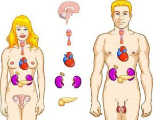 основные причины