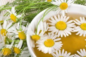 Отвары из ромашки