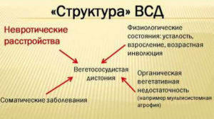 Вегетососудистая дистония (ВСД)