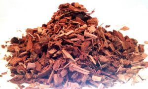 Дубовая кора