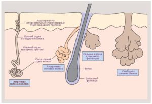 Классификация