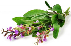 Народные методы борьбы с гипергидрозом