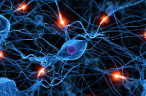 нарушения работы нервной системы