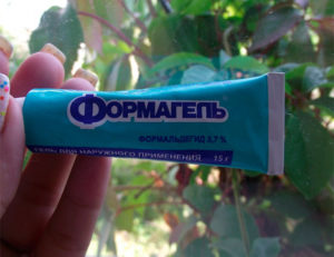 Формальгель