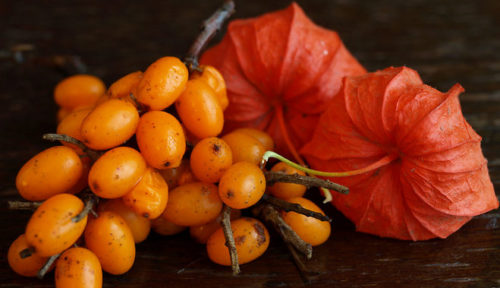 облепиховое масло от опрелостей у новорожденного