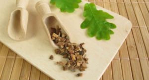 лечение пота корой дуба