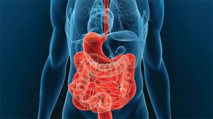 Заболевания ЖКТ как причина болезни