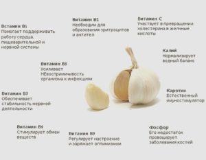 В чем польза растения