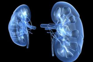 Острый пиелонефрит