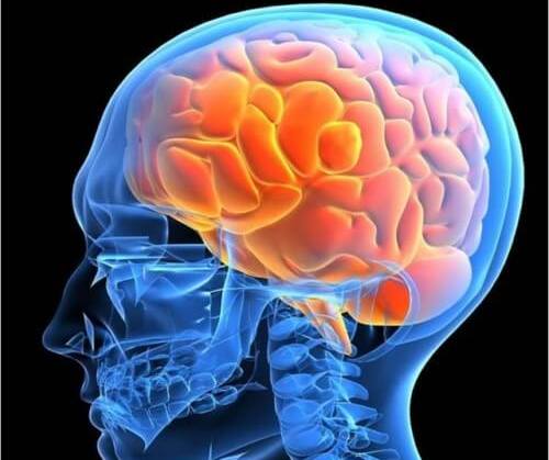 Сильное потоотделение в жару: что делать?