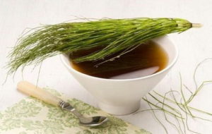 отвар хвоща