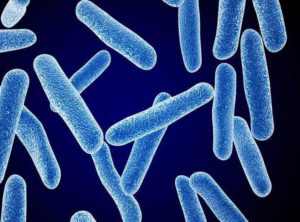 грибковые колонии на поверхности кожи