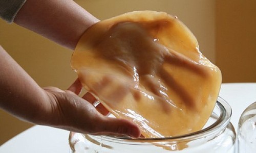 Лечение чайным грибом ногтевого грибка