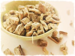 корень девясила