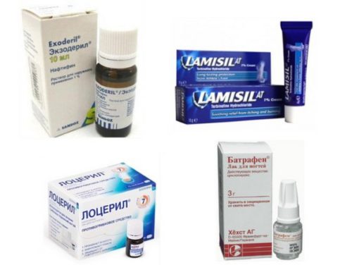 Лучшие средства от грибка стопы