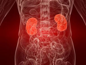 Хронические заболевания печени и почек