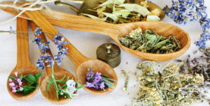 Алтайские травы в составе